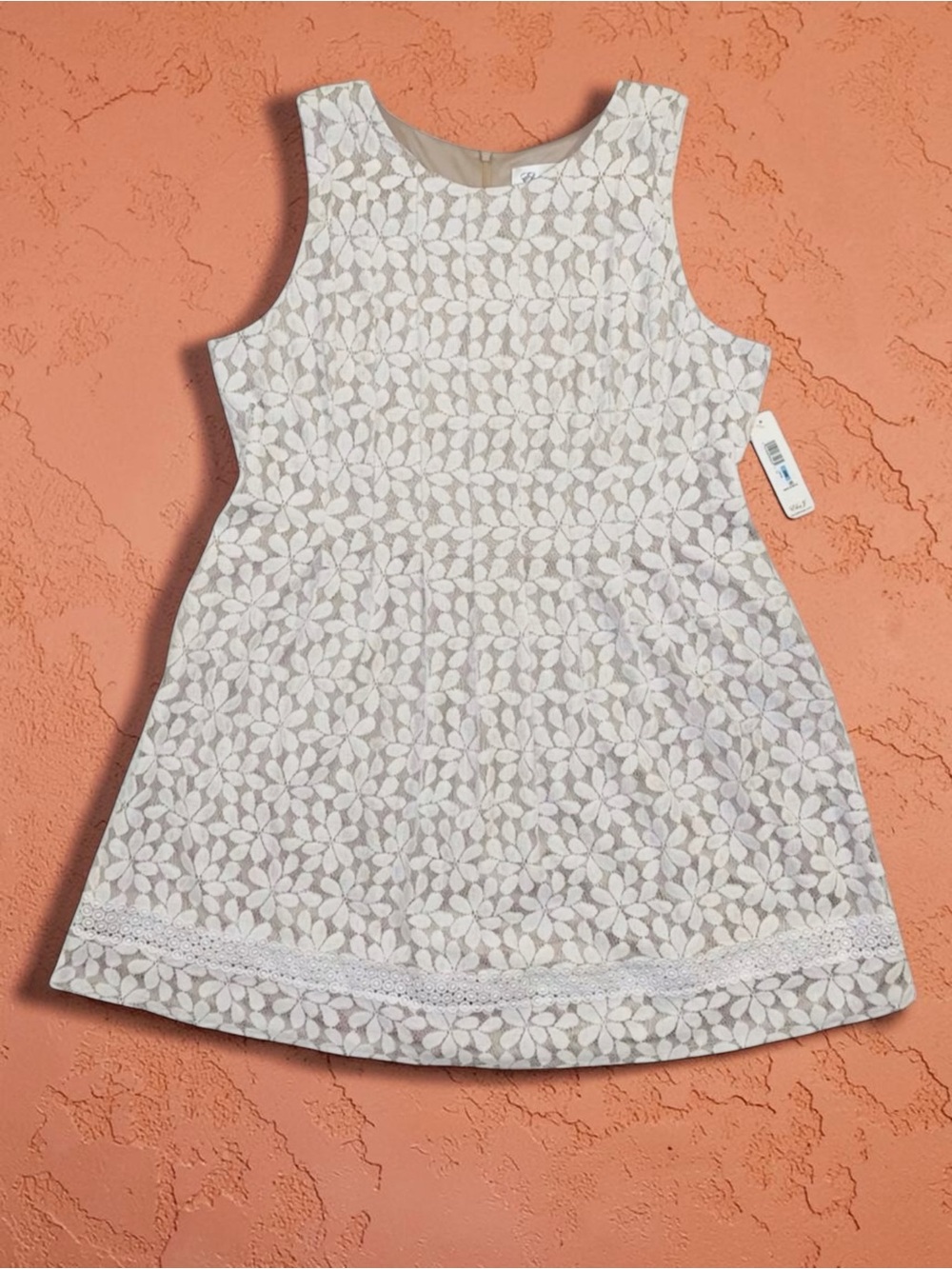 Eliza J Sz 20W NWT Ecru Girlie Romantic Lace Fit & Flare Dress Mid Knee